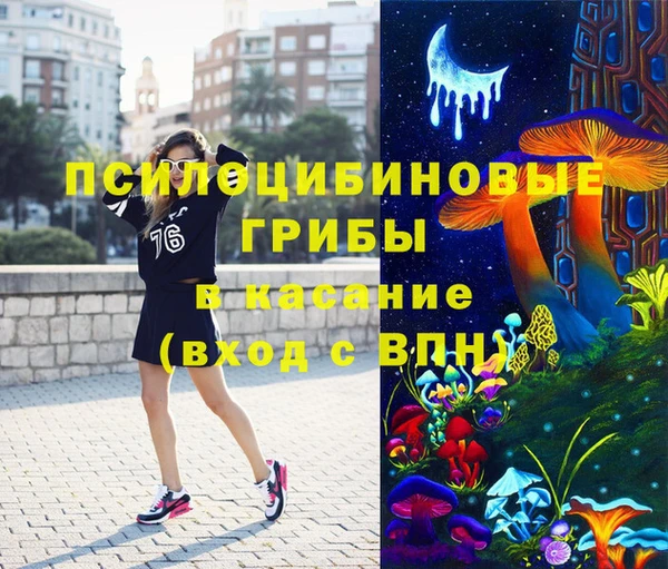 круглые Алзамай
