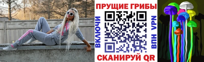 Псилоцибиновые грибы Psilocybe  Ирбит 